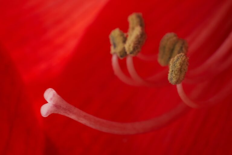 Jak mikroorganizmy w jelitach sterują twoim codziennym poczuciem szczęścia? - okładka